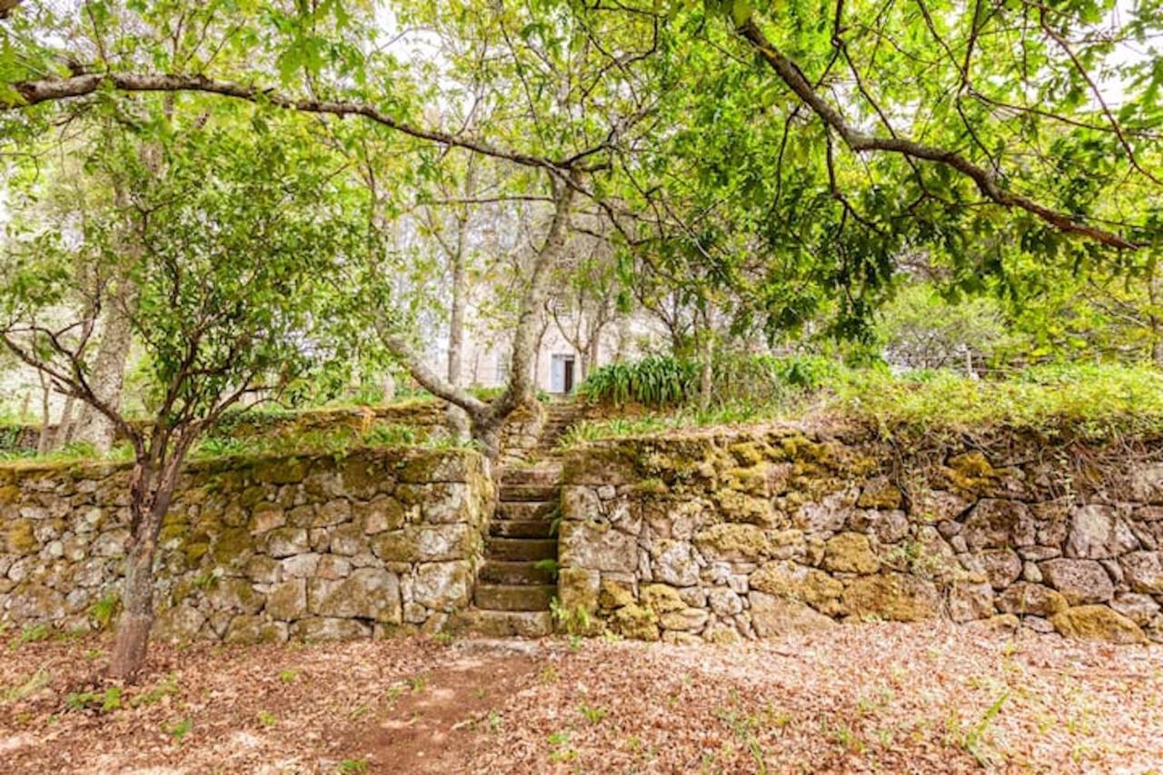 Casa Do Cabeco Panzió Caramulo Kültér fotó